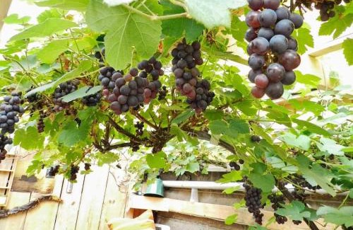 Lysekil Apartment | 3 person holiday home in LYSEKIL