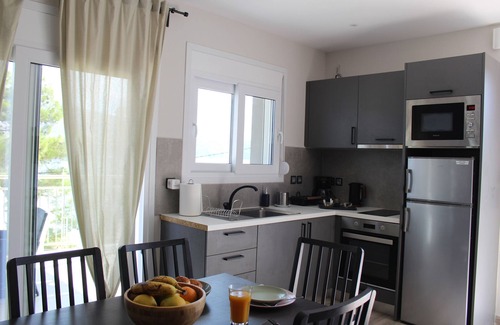 Paliki Apartment | 4-Bedroom Apartment with Sea View, Wi-Fi and Air Conditioning