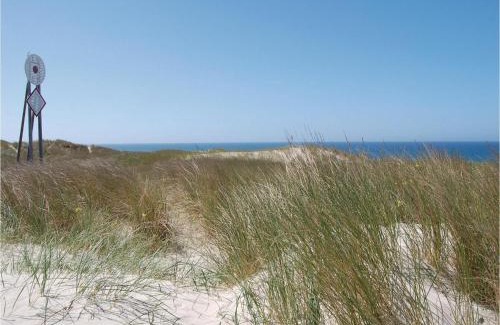 Haurvig House | 4 Bedroom Cozy Home In Hvide Sande