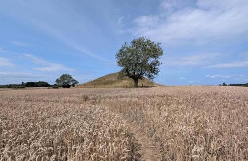 Martofte House | 4 person holiday home in Martofte