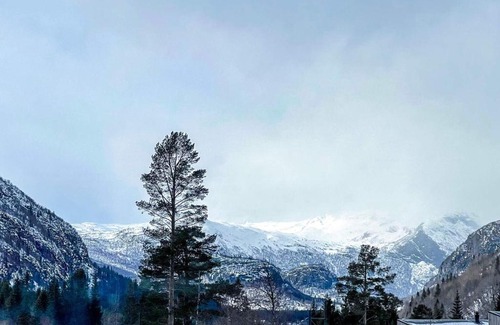 Hemsedal Apartment | 4 star holiday home in Hemsedal