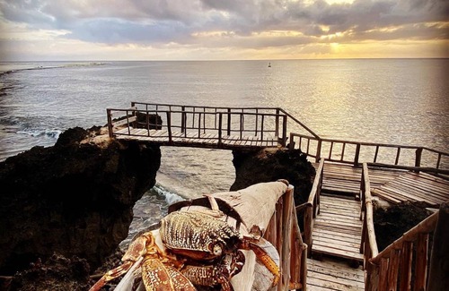 Shimoni Resort | 40 m² Private room ∙ 1 bedroom ∙ 3 guests