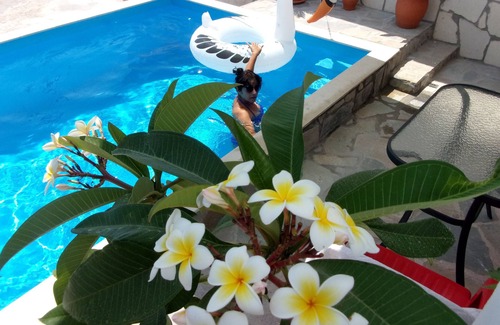 Sitia Apartment | 45m2 apartment on the ground floor with terrace and private pool on the terrace