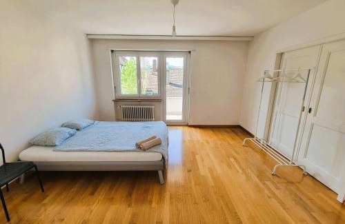Wipkingen Apartment | 5 Bedroom City Center Apartment with Balcony Dorf - Self Checkin