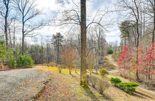 Cana House | 5 Mi to Blue Ridge Parkway Mountain Cabin in Cana
