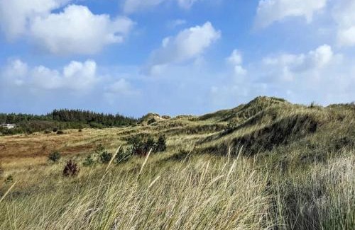 Aalbaek House | 5 star holiday home in Ålbæk-By Traum