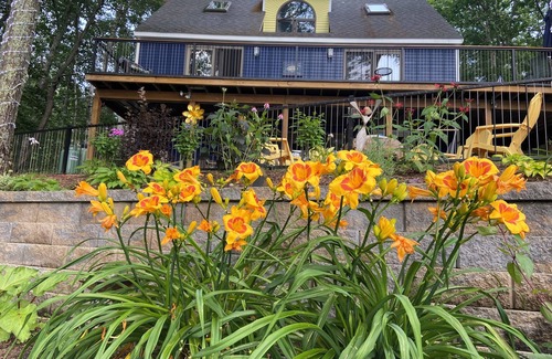 Shapleigh House | 50+ Reviews-Experience the “view”-Square, make family memories! Early arrival OK