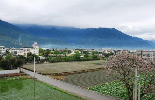 Ji'an Bed & Breakfast | 501 Hill view quadruple room - Hualien