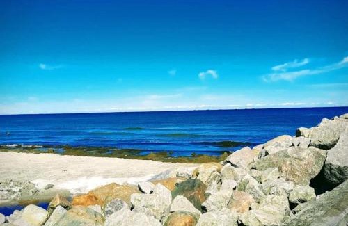 Aalbaek House | 6 person holiday home in Ålbæk-By Traum