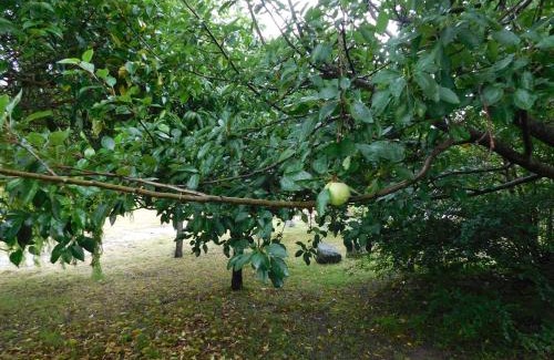 Villa Yacanto Ski Chalet | 7 esencias