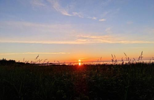 Sønder Nissum House | 7 person holiday home in Ulfborg-By Traum