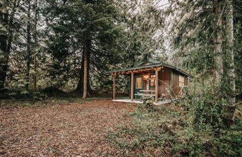 Maple Falls House | 72MF - Rustic - Pets Ok - Sleeps 2 cabin