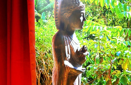 Uvita Villa | 8 Bedroom Resort-Style Home, 3 minutes to Marino Ballena Beach. No Cleaning Fee!