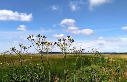 Ronde House | 8 person holiday home in Rønde-By Traum