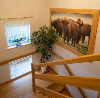Maniow Ski Chalet | 80 m² Chalet ∙ 2 bedrooms ∙ 7 guests