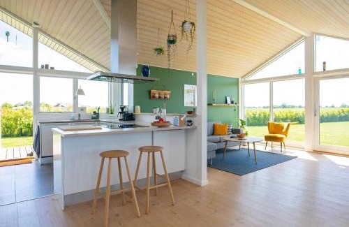 Tørresø House | 9 person holiday home in Otterup-By Traum