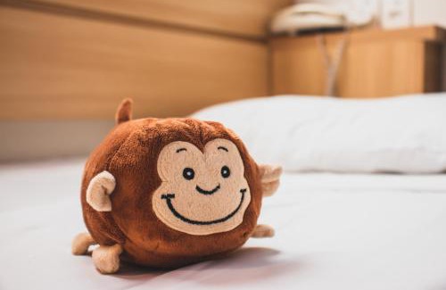 Campinas Hotel | Aéra São José Floripa