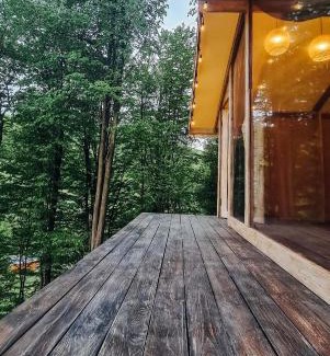 Vyzhenka House | AЖ у НЕБІ