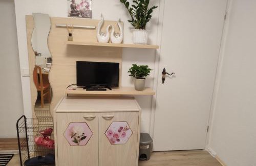 Rudolstadt Apartment | A&B1