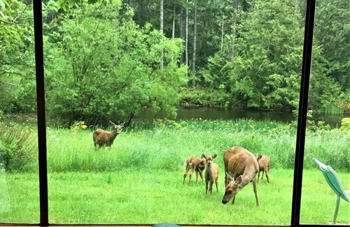 Salt Spring Island Cottage | A cabin for peace