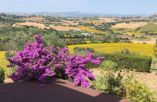 Castelfidardo House | A corner of paradise in the countryside, a few km from the sea and mountains behind