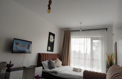 Embakasi Apartment | A Cosy Modern Affordable Furnished Studio Located in Tsavo Fedha