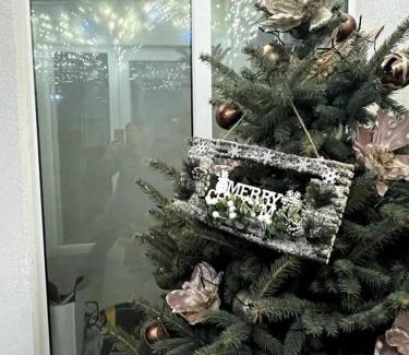 Chisinau Apartment | A cozy warm house with a private yard ultra center