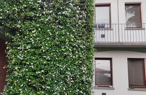 Somma Lombardo Apartment | A few kilometers from the two terminals of Malpensa Airport.