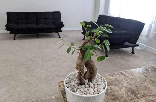 Welland House | A Getaway in the MIDST of Niagara & Crystal Beach