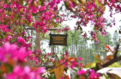 Keystone Cabin | A gorgeous 2 bedroom cabin at the back of the property