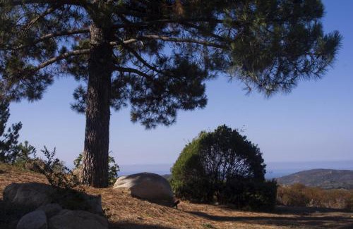 Monacia-d'Aullene House | A Machja 16