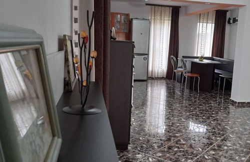 Poiana Tapului House | A nice and worm guest house to stay for a few days or more! Mountain View