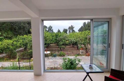 Gumusluk Apartment | A peaceful house for the mandarin garden in Gümüşlük