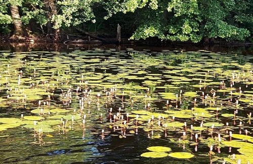 Vilnius County House | A private, cozy cottage on the shore of the lake, beautiful view