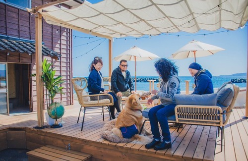 Sado House | A310to Dog: Sakashima Dog Resort