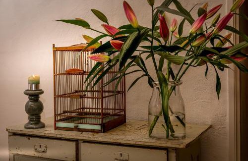Nuth Apartment | Aan de Holle Weg. Zeer landelijk gelegen verbouwde stal tot woning