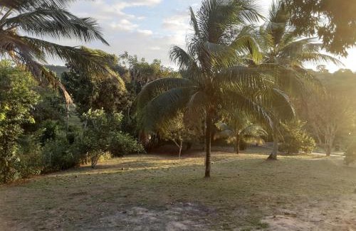 Santo Amaro House | Abelha & Peixe Boi