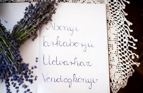 Abony Apartment | Abonyi Tarkaborjú Udvarház