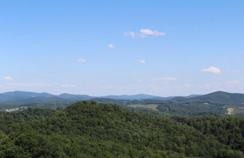 Grassy Creek House | Above It All