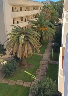 Ameijeira Apartment | Above the beach, 10 min from the city center - Casa da Tartaruga