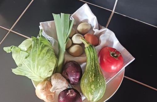 Porto Moniz House | Achadas da Cruz Farm House