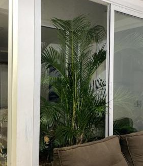 Tio Hugo House | Acomodações Inteiras