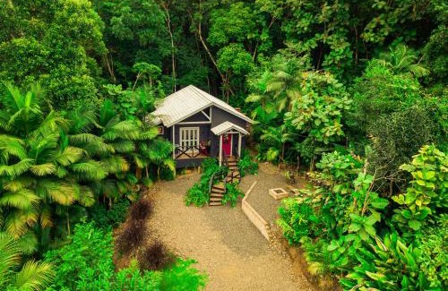 Timbe do Sul Cabin | Aconchego dos Pássaros