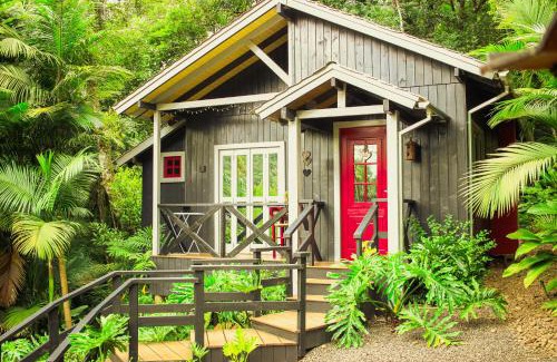 Timbe do Sul Cabin | Aconchego dos Pássaros