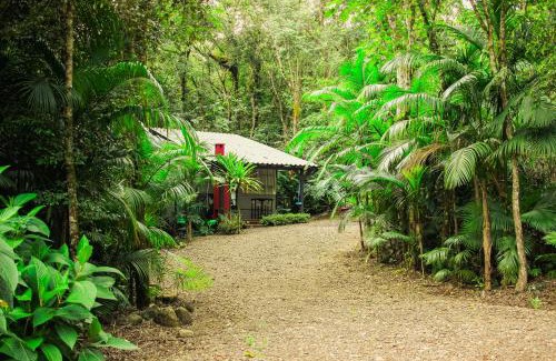 Timbe do Sul Cabin | Aconchego dos Pássaros