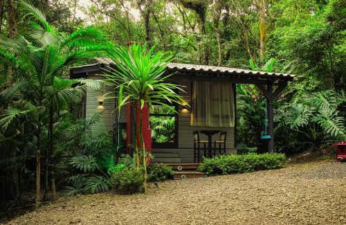 Timbe do Sul Cabin | Aconchego dos Pássaros