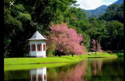 Nova Friburgo Apartment | Aconchego valenca vista da montanha