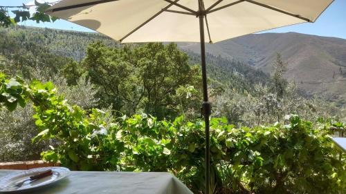 Arganil House | Adcasinha em Arganil