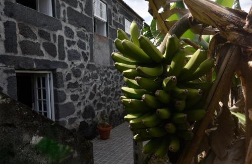 Calhau Hotel | Adega do Gato