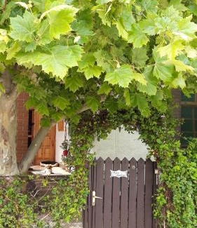 Velence Apartment | Agave Apartman